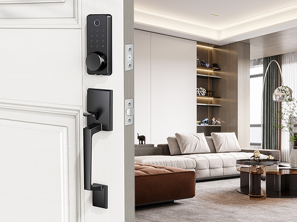 Keyless Entry Door Lock with Handle
