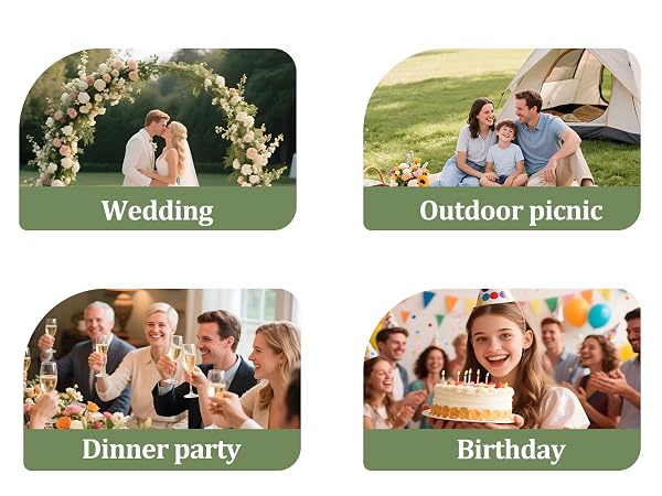 Clear Plastic Plates