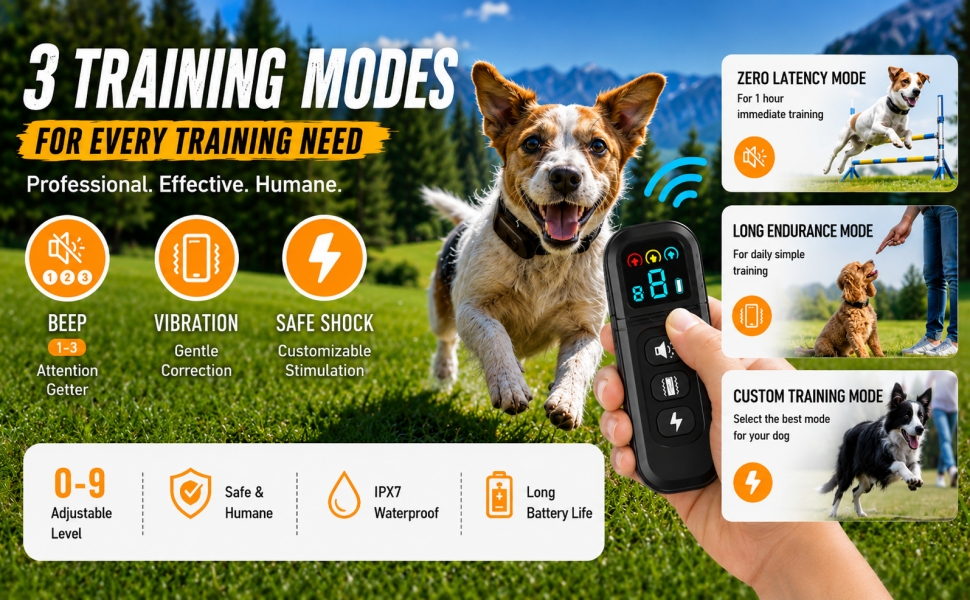 bb shock cllar for small dogs-1