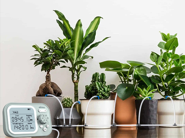 Automatic Plant Waterer