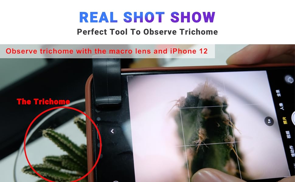 real shot show - observe trichome
