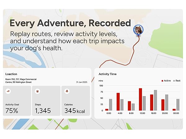dog gps tracker