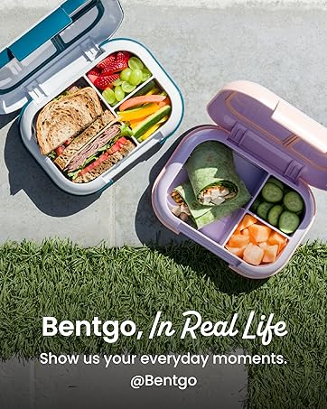 bentgo social media meal containers lunch boxes chill