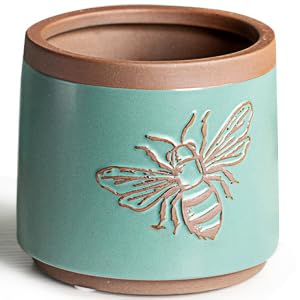 4 inch terracotta pot