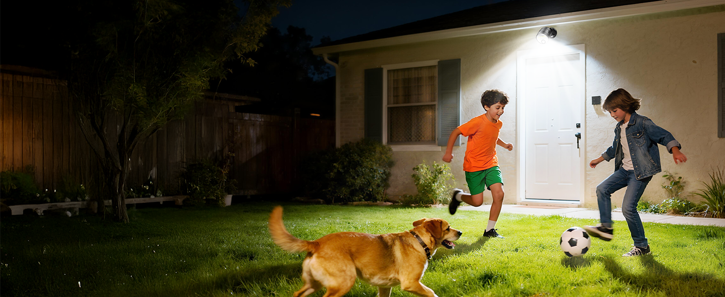 battery powered flood light