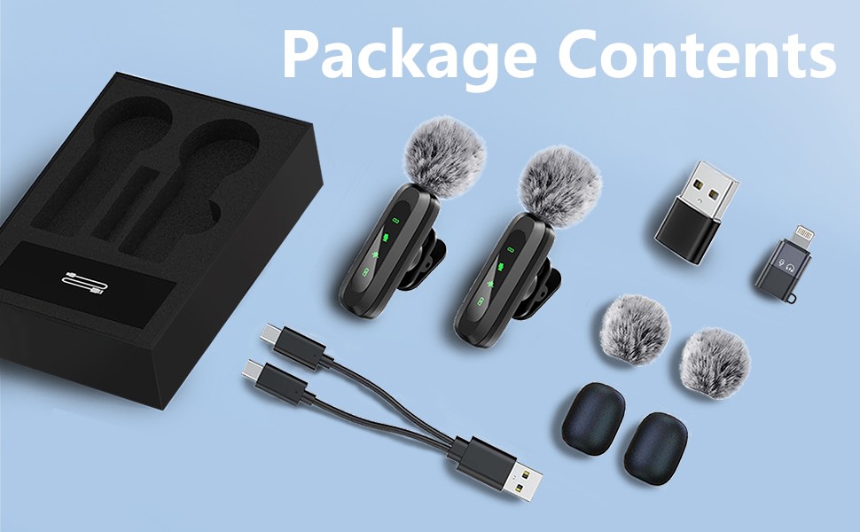 mini mic