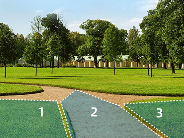 Customize Detection Zone