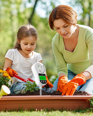 Soil Test Kit