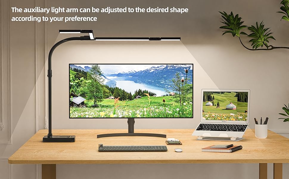 Adjustable office desk lamp with Flexible Auxiliary Light