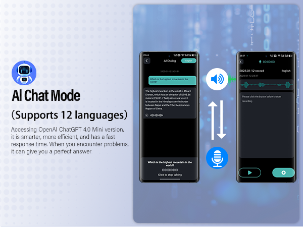 164 Translator Earbuds Real Time