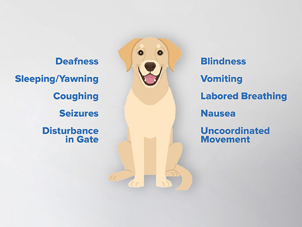 Kidde Nighthawk Carbon Monoxide Detector &amp; Propane