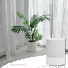 Moisturize Your Plants