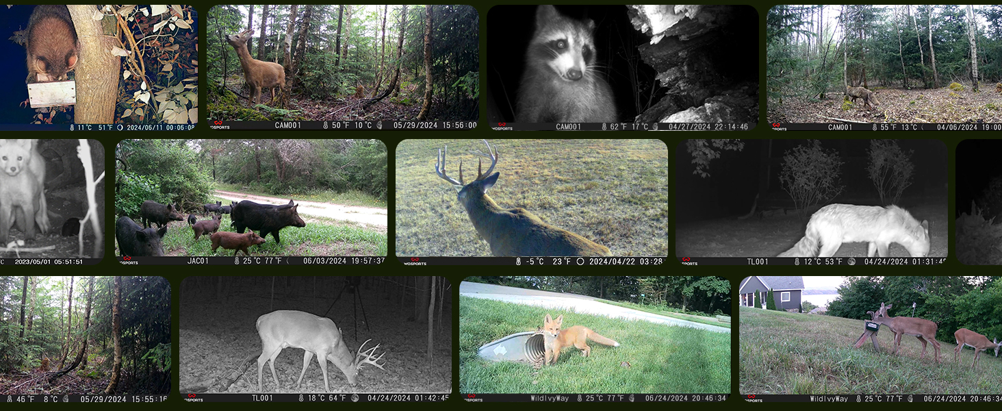hunting camera wildlife camera trail cams deer cameras with night vision
