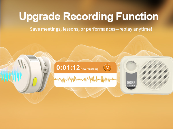 portable voice amplifier