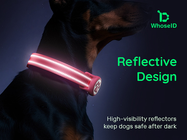 Dog collar