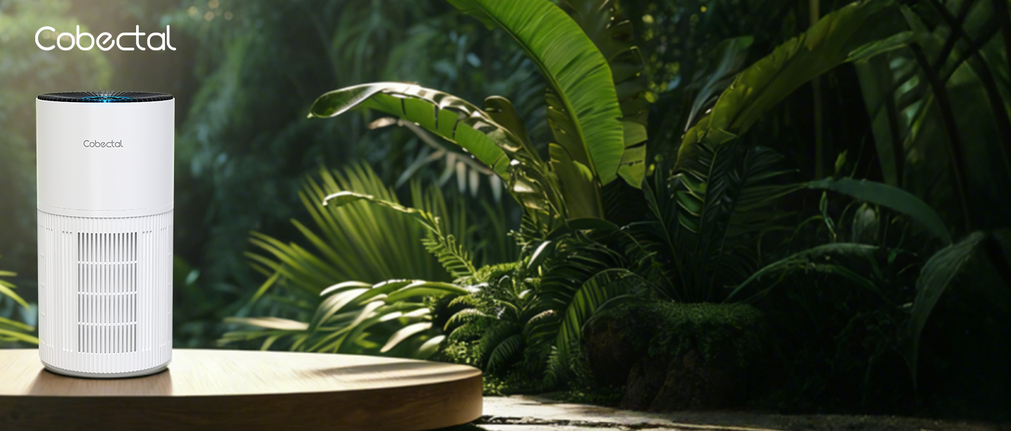 Air purifier for home