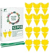 LULUCATCH Fruit Fly Sticky Traps 12 Pcs, Yellow Sticky Trap, Non-Toxic Gnat Traps Insect Catcher,...