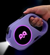 purple dog leash