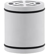 Replacable Rain Shower Head Filters