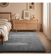 Ophanie 3x5 Rug, Bedside Preppy Dorm Area Rug, College Essentials Non Slip Grey Small Carpets for...
