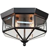 Flush Mount Outdoor Ceiling Light Fixture, 4 Light Exterior Porch Ceiling Lights with Clear Glass...