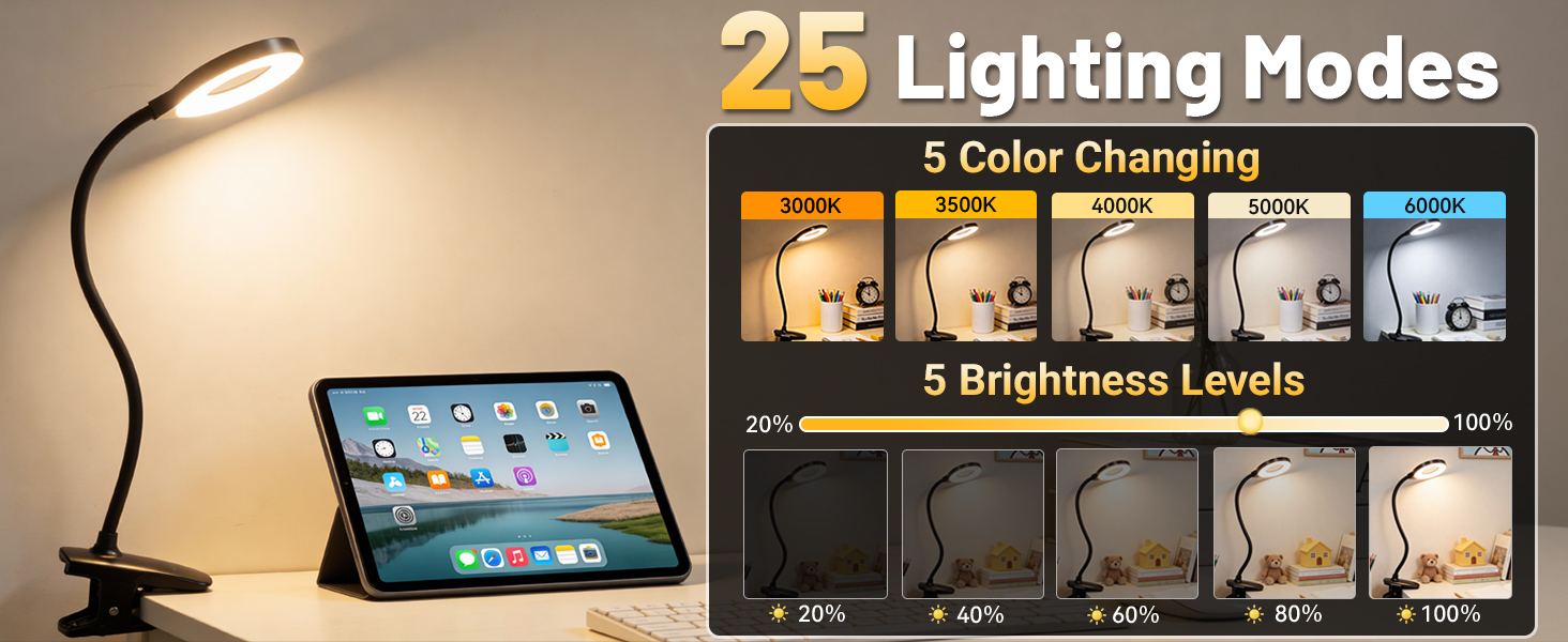 Rechargeable Desk Lamp with Clamp