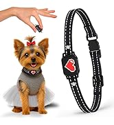 Bark Collar for Small Dogs 5-15 lbs with Magnetic Charging – No Shock, 3 Beep &amp; Vibration Modes, ...