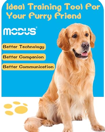 modus