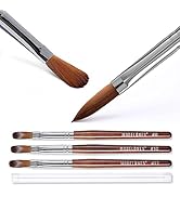 Modelones 3pcs Acrylic Nail Brush Set, Size 8/10/12 Kolinsky Acrylic Brushes for Acrylic Powder A...