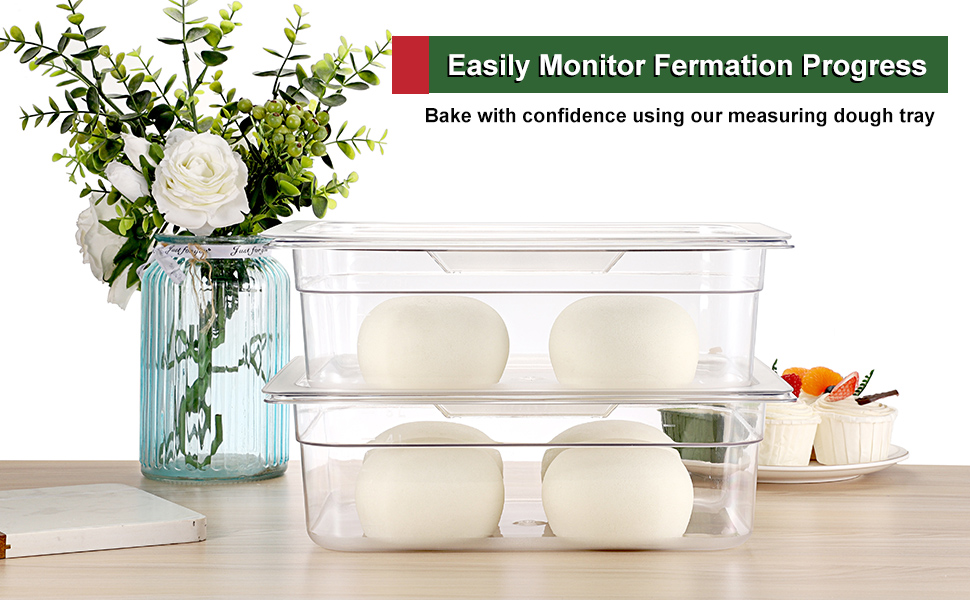 dough proofing box