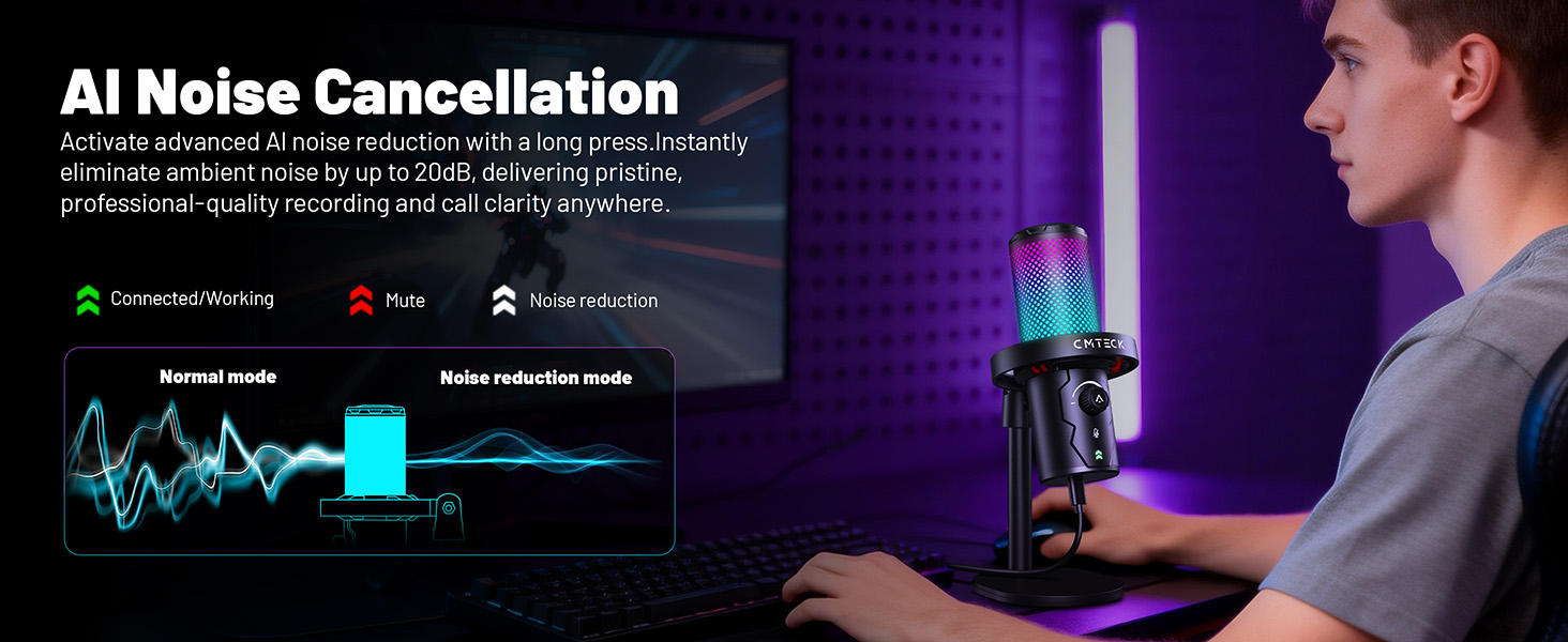 Noise Cancellation