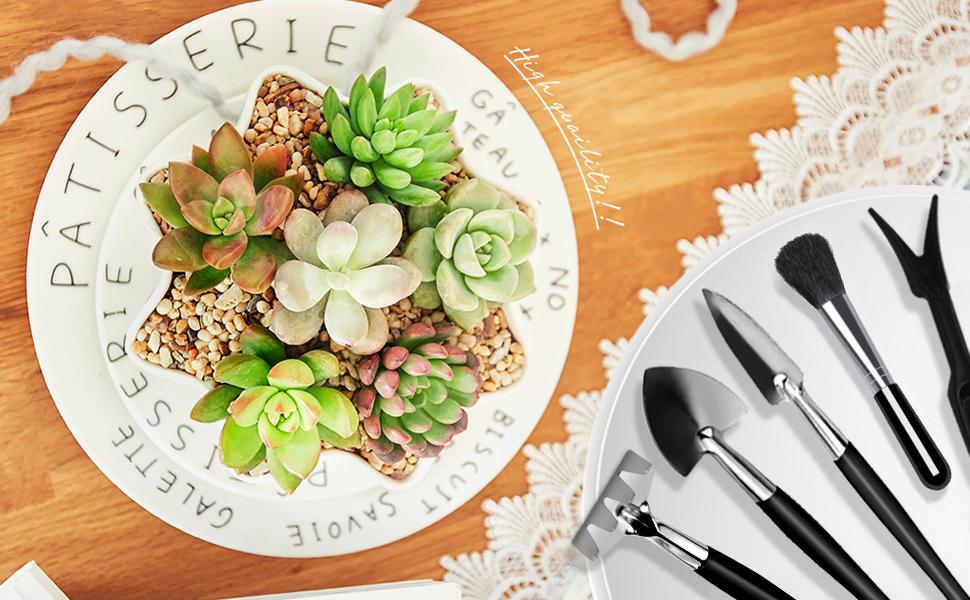 succulent tools