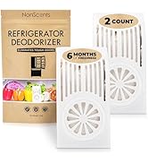 clearance items organization powder damp rid cool refrigerator fridge odor eliminator cleaning yeast