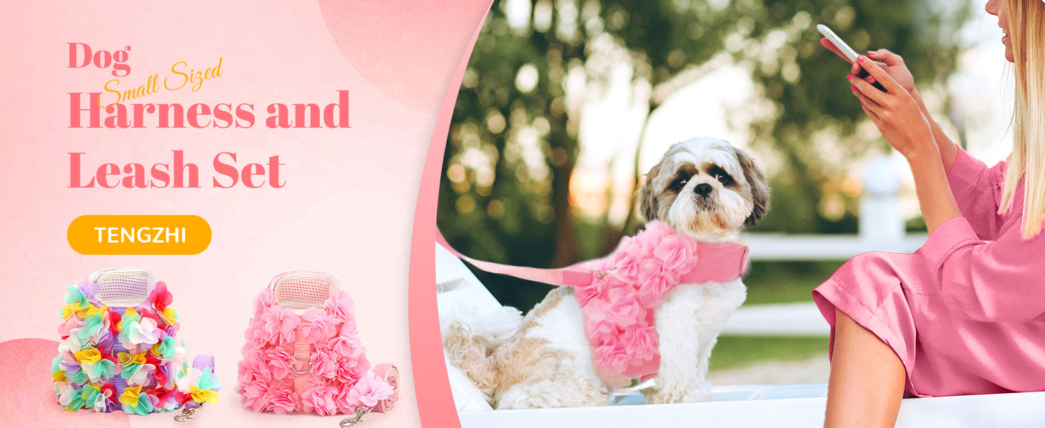 dog harness