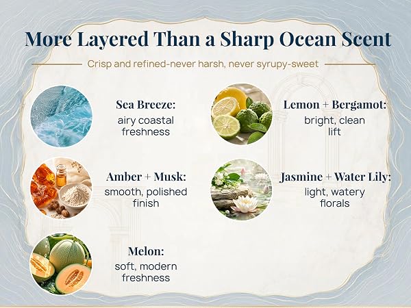 Coastal Citrus Sparkle ? Smooth Amber Musk