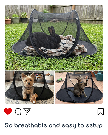 pet tent