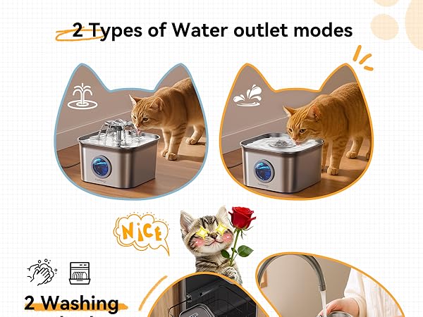 cat fountains for drinking