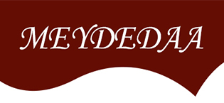https://m.media-amazon.com/images/S/aplus-media-library-service-media/b10b5e56-30f6-4647-95fe-d3b632a493fc.__CR0,0,315,145_PT0_SX315_V1___.jpg