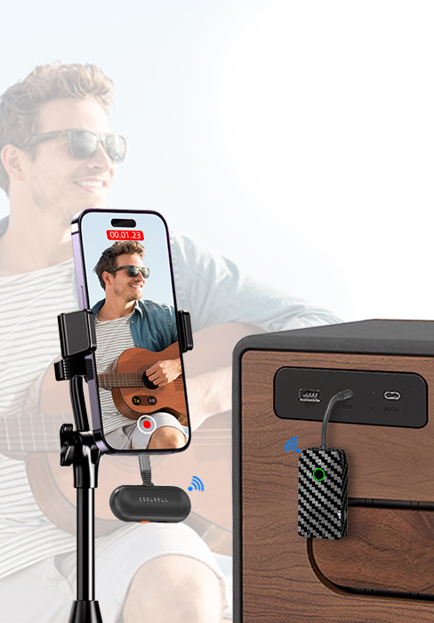 wireless audion transmitter receiver