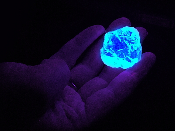 black light flashlight