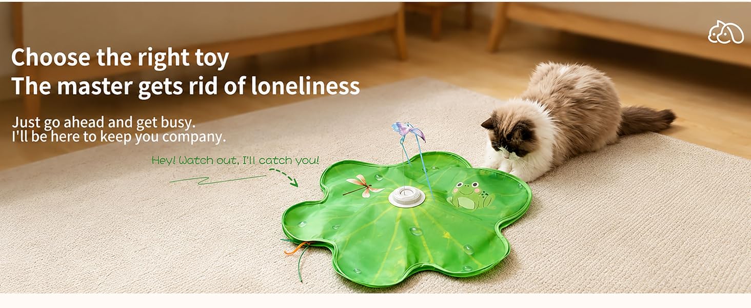 Pet toy