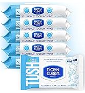 Nice 'N CLEAN Toddler Wipes 42ct (6-Pack) | 100% Plant-Based, Wet Wipes for Sensitive Skin | Grea...