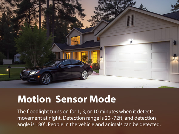 motion sensor mode