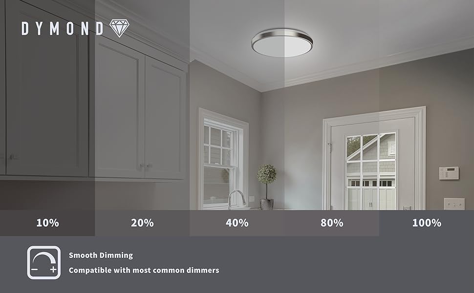 Ring Dimmable Image 10in