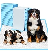 Extra Large Puppy Pads 28" x 34"-30 Count, Super Absorbent Dog Pee Pads Quick Drying Leak-Proof X...