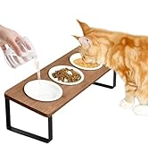 Sunhoo Raised Cat Food Water Bowl Elevated Tilted Kitty Dishes Set of 3 Ceramic Dish for Indoor C...