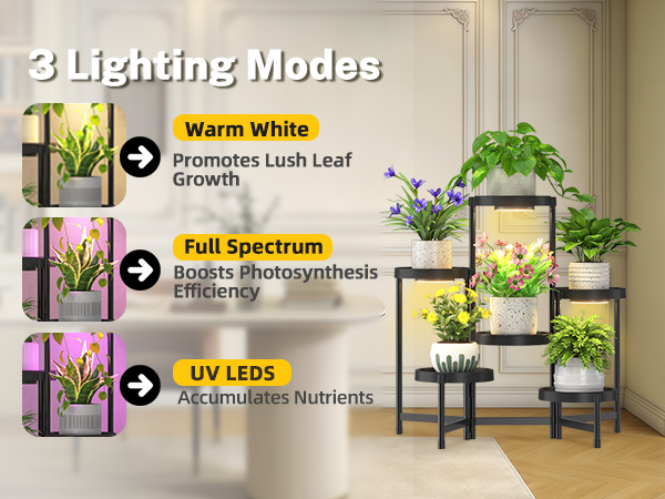 multi tier plant stand indoor