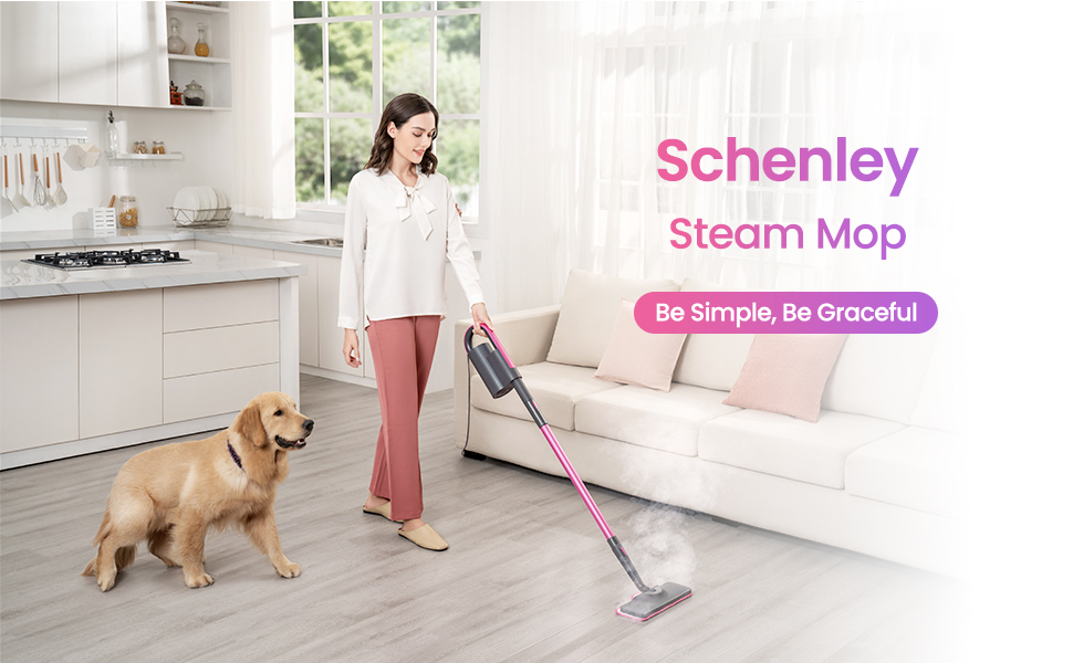 Schenley Steam Mop