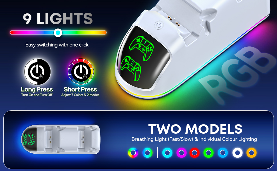 P5 Controller charger