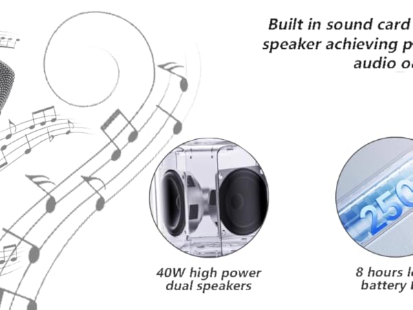  Professional Wireless Karaoke Microphone 